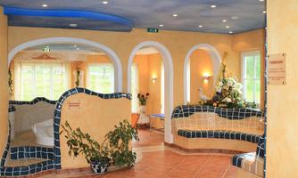 A brightly designed interior with cozy seating areas and blue tiles. The walls are painted in warm yellow tones and there are many plants and flowers.