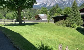 A green meadow with a large tree and a view of majestic mountains. In the background, some agricultural buildings are visible.