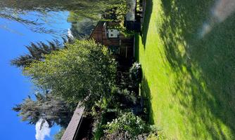 A beautiful garden with green grass and lush plants. In the background, a wooden house and trees can be seen.