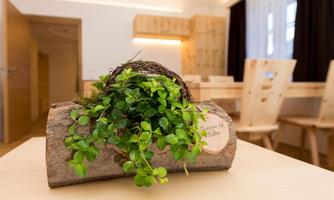 A decorative plant in a piece of wood is on a table. The background shows a bright room with wooden furniture.