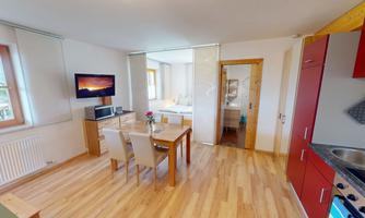A modern apartment with wooden floors and cozy furnishings. The room includes a dining table, a kitchen, and has large windows for plenty of daylight.