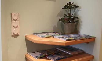 A small corner with a wooden shelf on which various brochures are placed. A picture of flowers hangs on the wall, and a potted plant sits on the shelf.