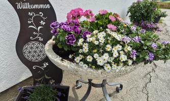 A decorative flower pot with colorful flowers in various colors. Next to the pot stands a sign with the inscription "Welcome."