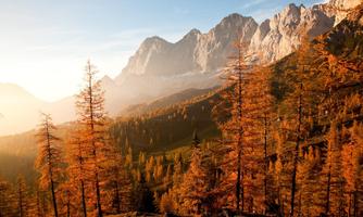 A picturesque mountain landscape with high, majestic peaks. The autumn forest is dyed in warm gold and orange tones.