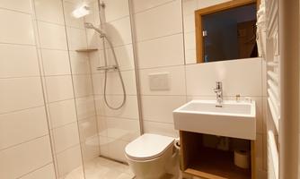 A modern bathroom with a glass shower and a white sink. The floor is tiled and a green carpet adds color to the room.