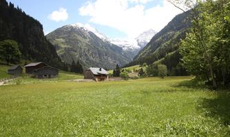 A beautiful mountain landscape with green meadows and snow-capped peaks. In the foreground, there are some traditional wooden buildings.