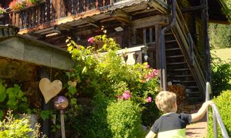 A boy walks up the stairs to a rustic wooden house. The garden is beautifully arranged with many flowers and plants.