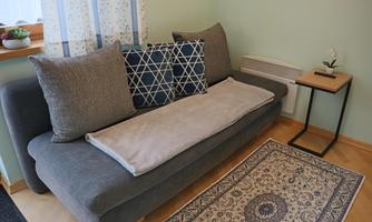 A cozy gray sofa with decorative cushions and a soft blanket. Next to it, there's a small table with a plant and a decorated rug.
