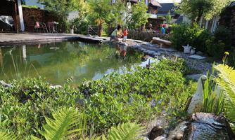 A quiet garden with a small pond and plenty of greenery. People enjoy nature and the relaxed atmosphere.