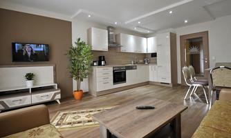 A modern living room with an open kitchen. The space features cozy furniture, a television, and a plant.