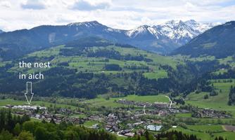 A picturesque landscape with green meadows and snow-capped mountains in the background. In the valley lies the village of Aich, marked by a sign for "the nest in aich".