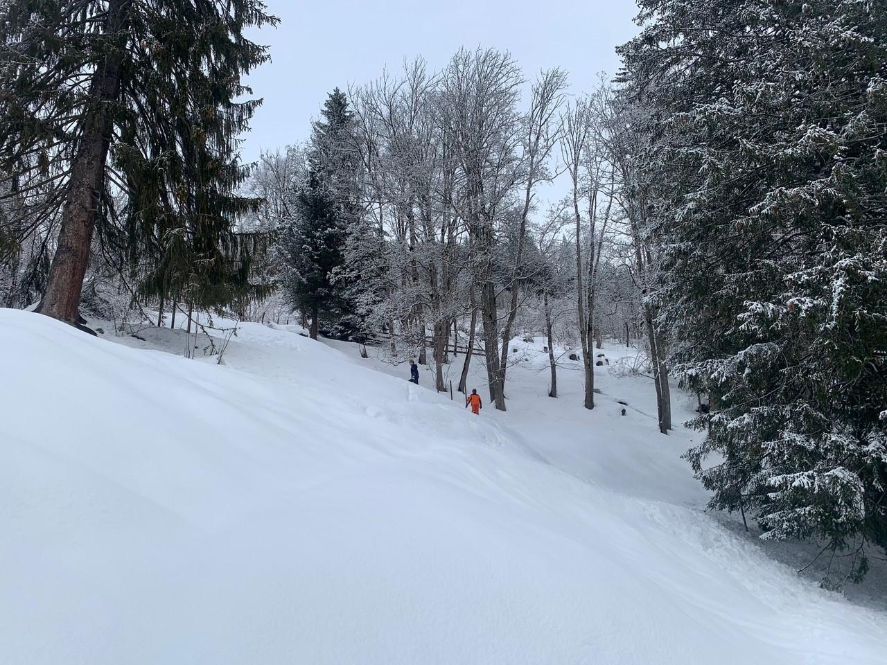 Umgebung Winter Umgebung Winter