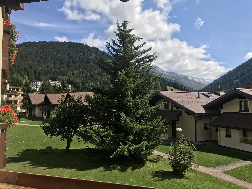 Balkonpanorama Grünfläche Balkonpanorama Grünfläche