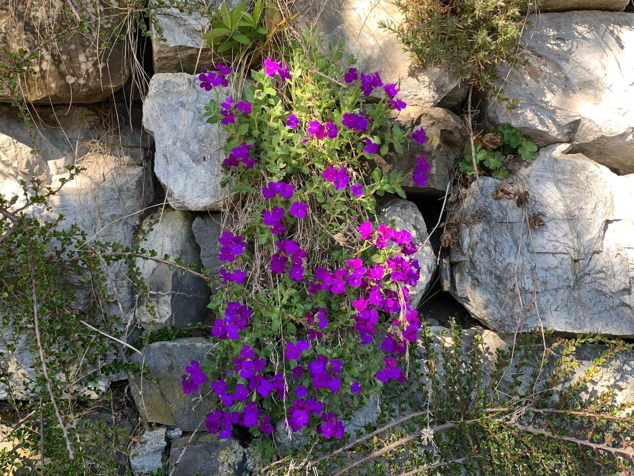 Umgebung Sommer I Umgebung Sommer I