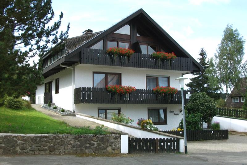 Haus vorn Sommer