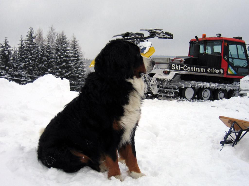 Skiliftwächter