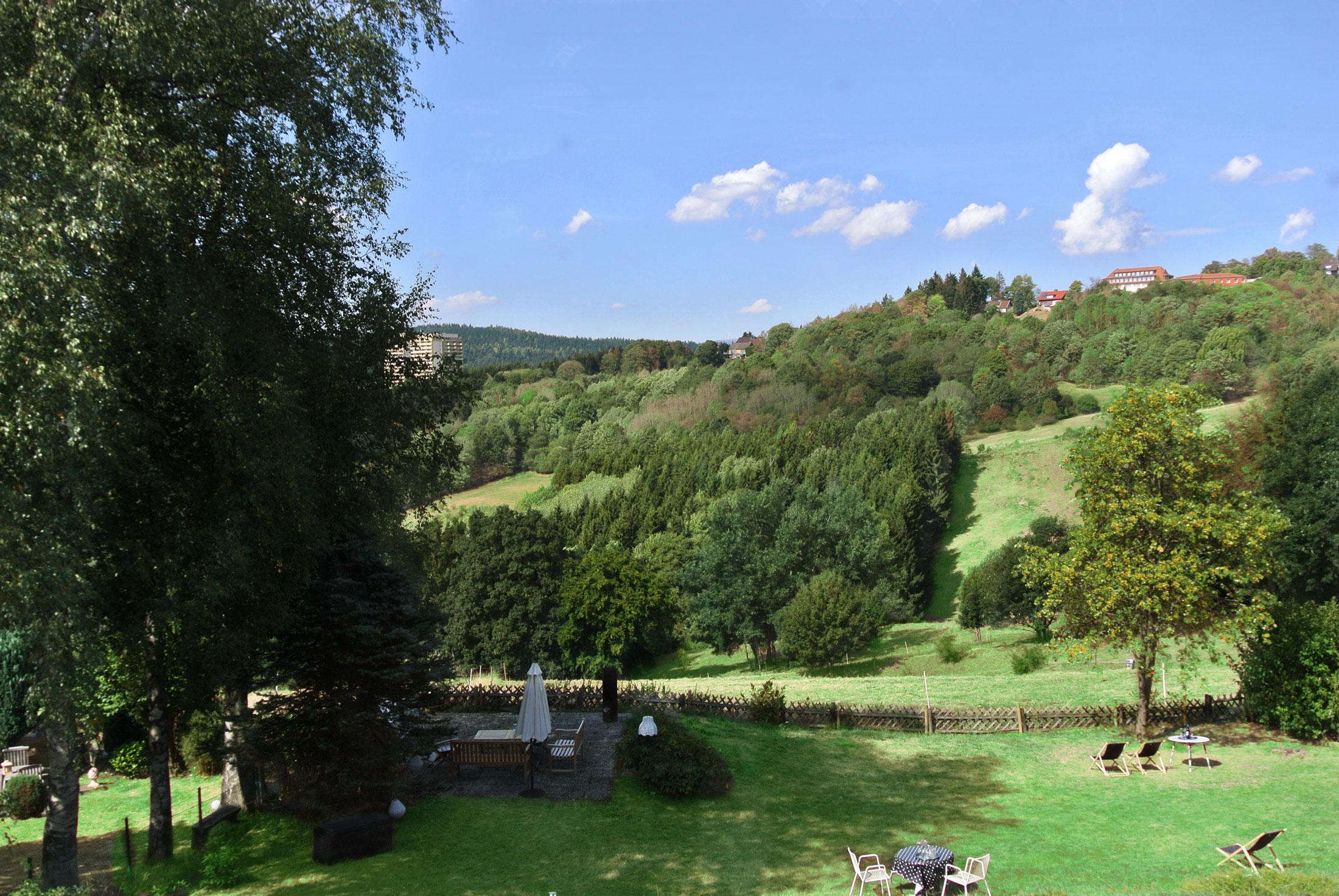 Unser Garten...