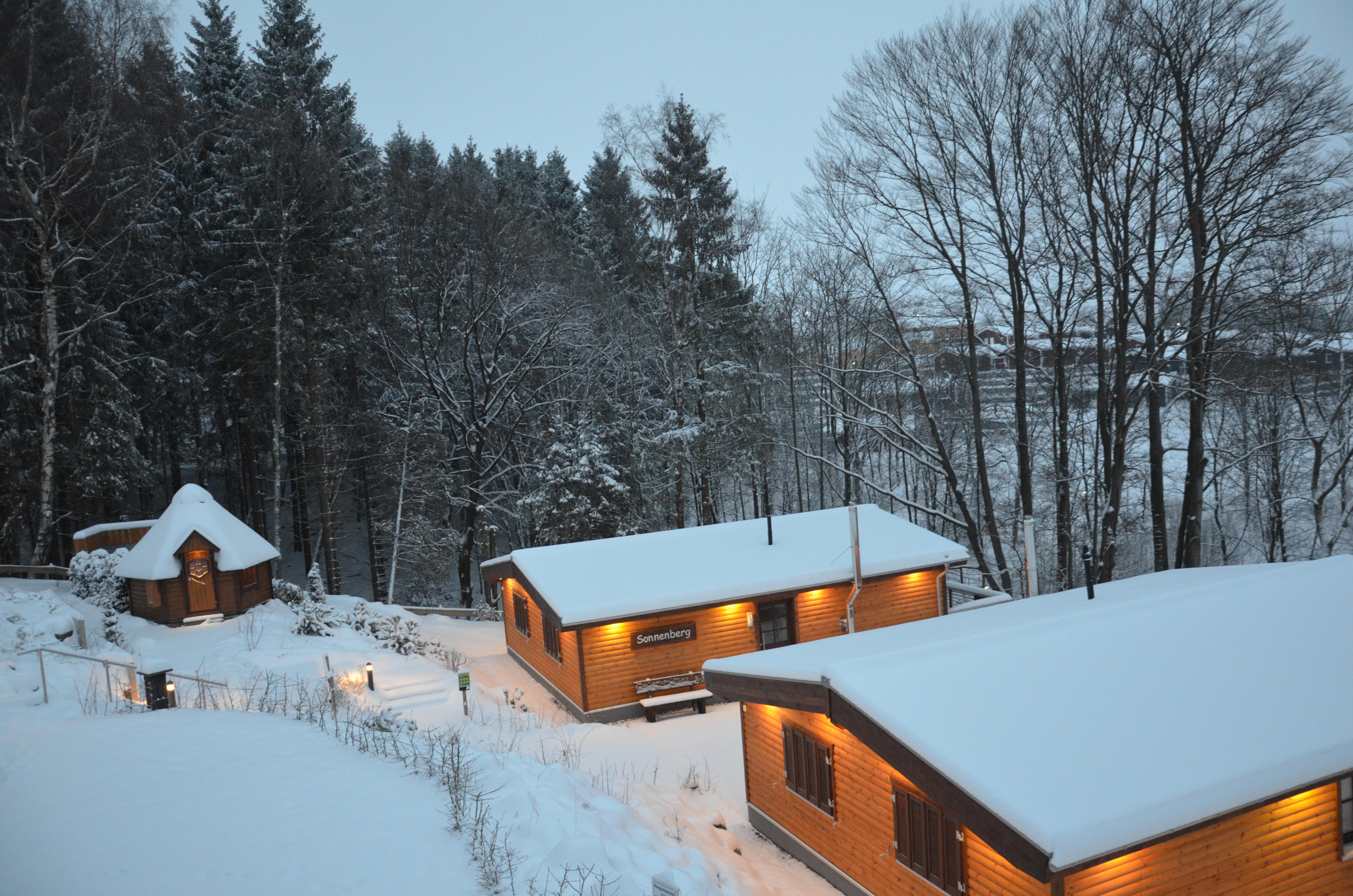 Winterbild vom Balkon Akelei