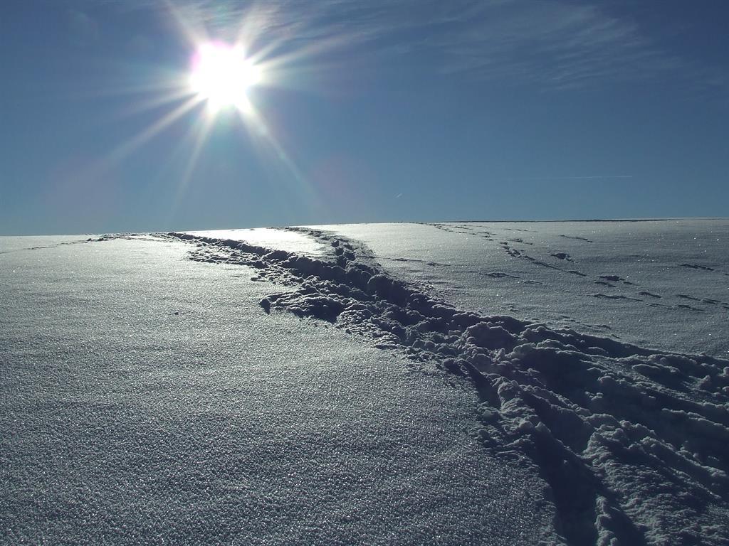Winterimpression