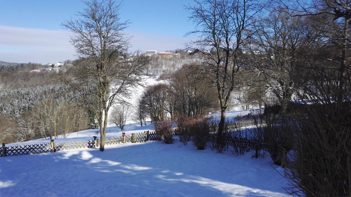 Garten Winter