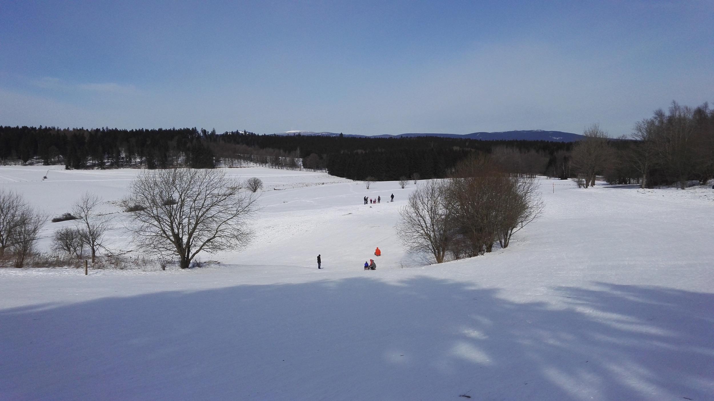 Winterlandschaft
