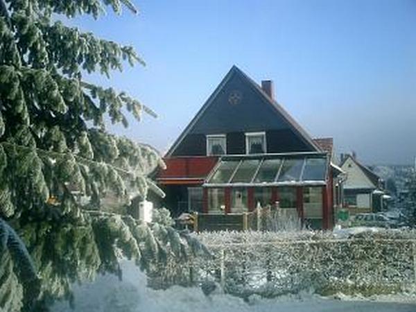 Winterbild Wiesengrund.neu