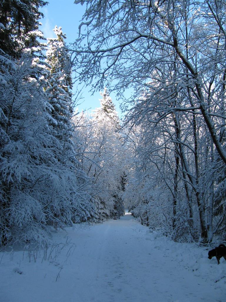Winter