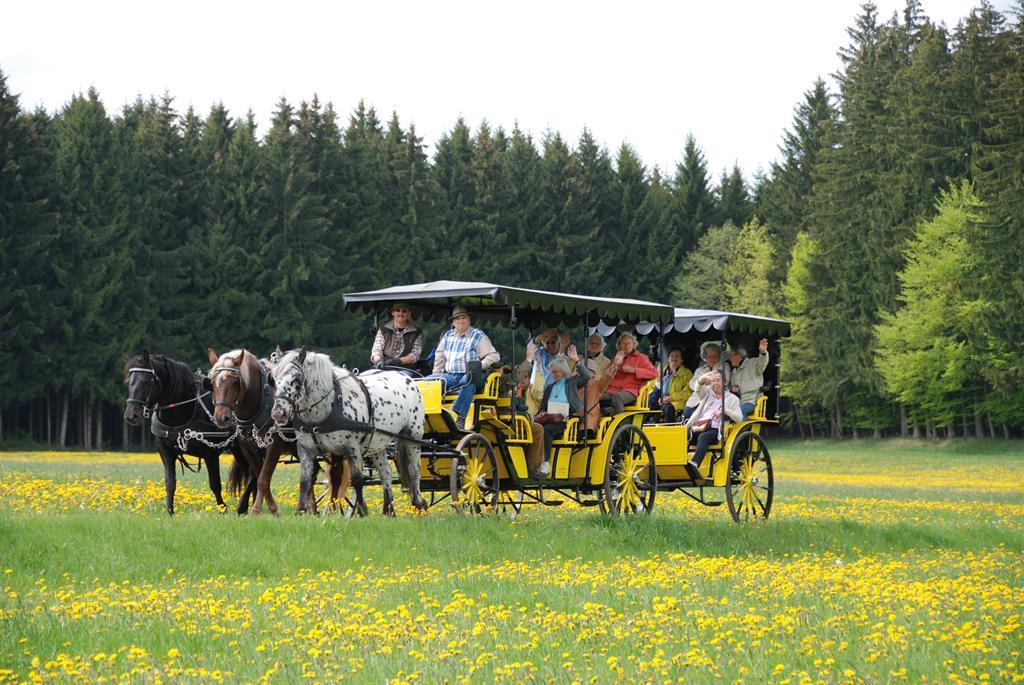Kutschfahrt