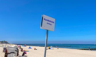 Urlaub mit Hund Ostsee