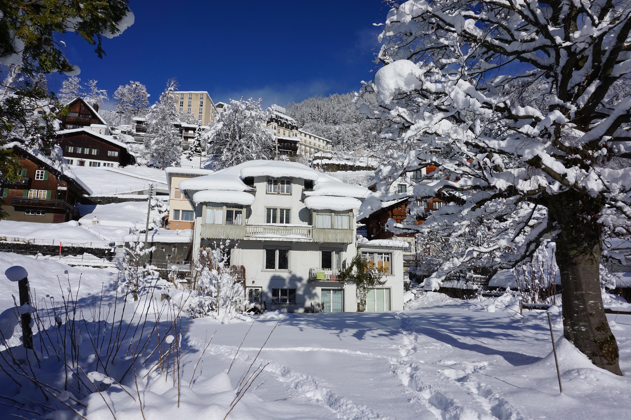 Gartenblick Gartenblick