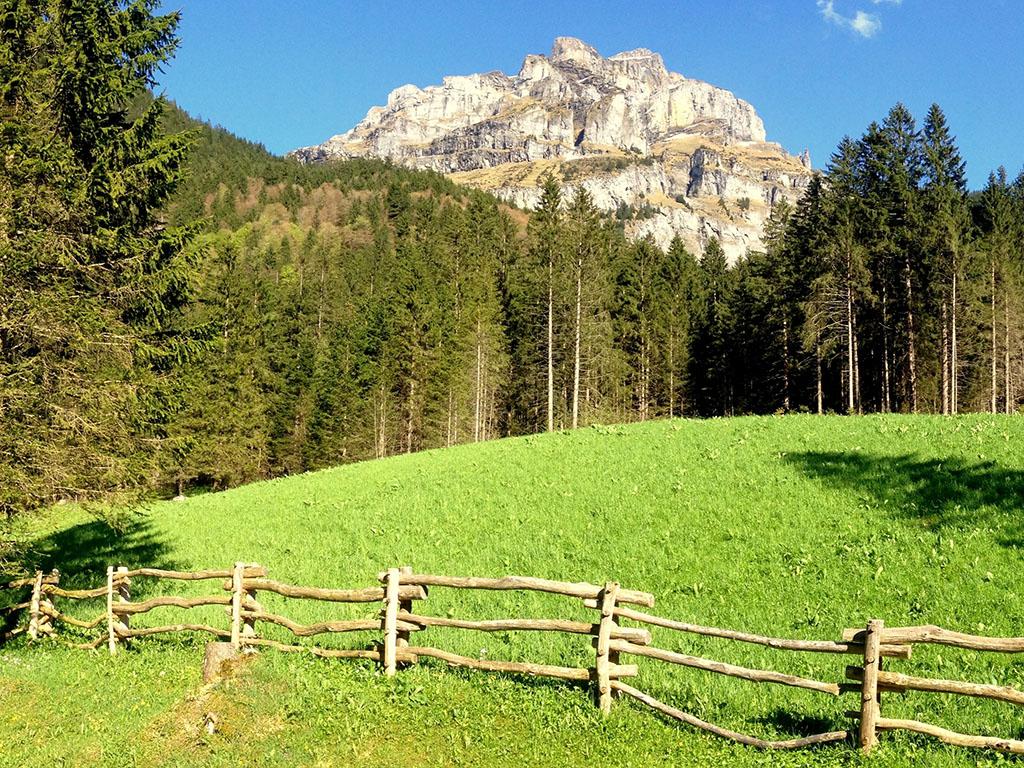 Aussicht von Küchenfenster Aussicht von Küchenfenster