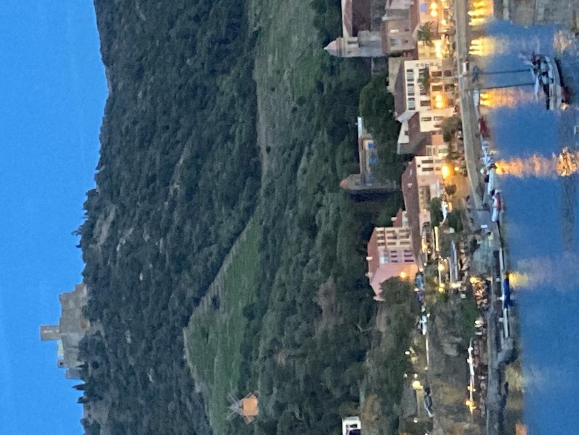 La Terrasse à Collioure