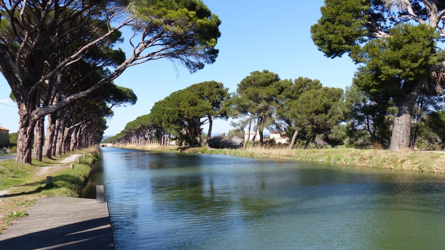 Chai du Canal à Sallèles-d'Aude