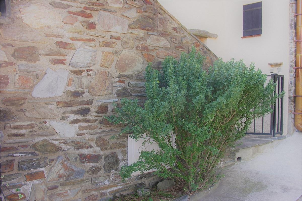 Casa mallorca à Collioure