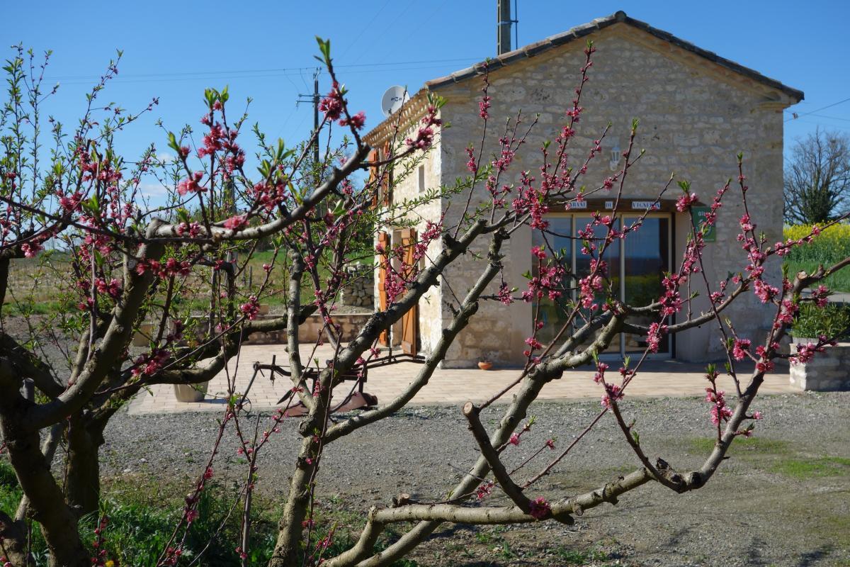 La cabane du vigneron à Donnazac