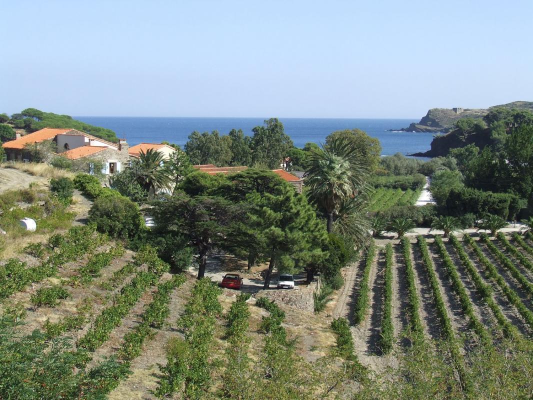 Le Clos De Paulilles Chambre D Hote Domaine de valcros : Locations de vacances Pyrénées-Orientales -  Port-Vendres | Gites de France Sud