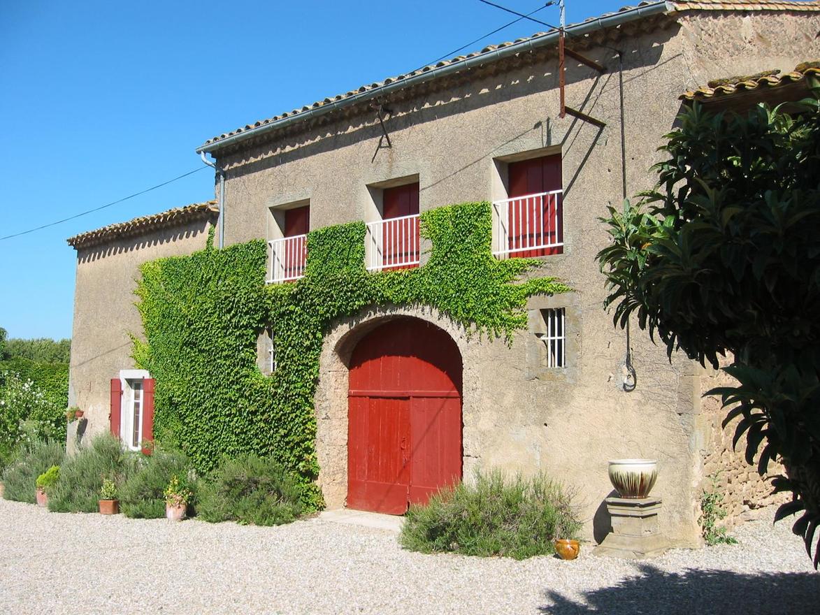 Fitou au Domaine de Barthe à Douzens