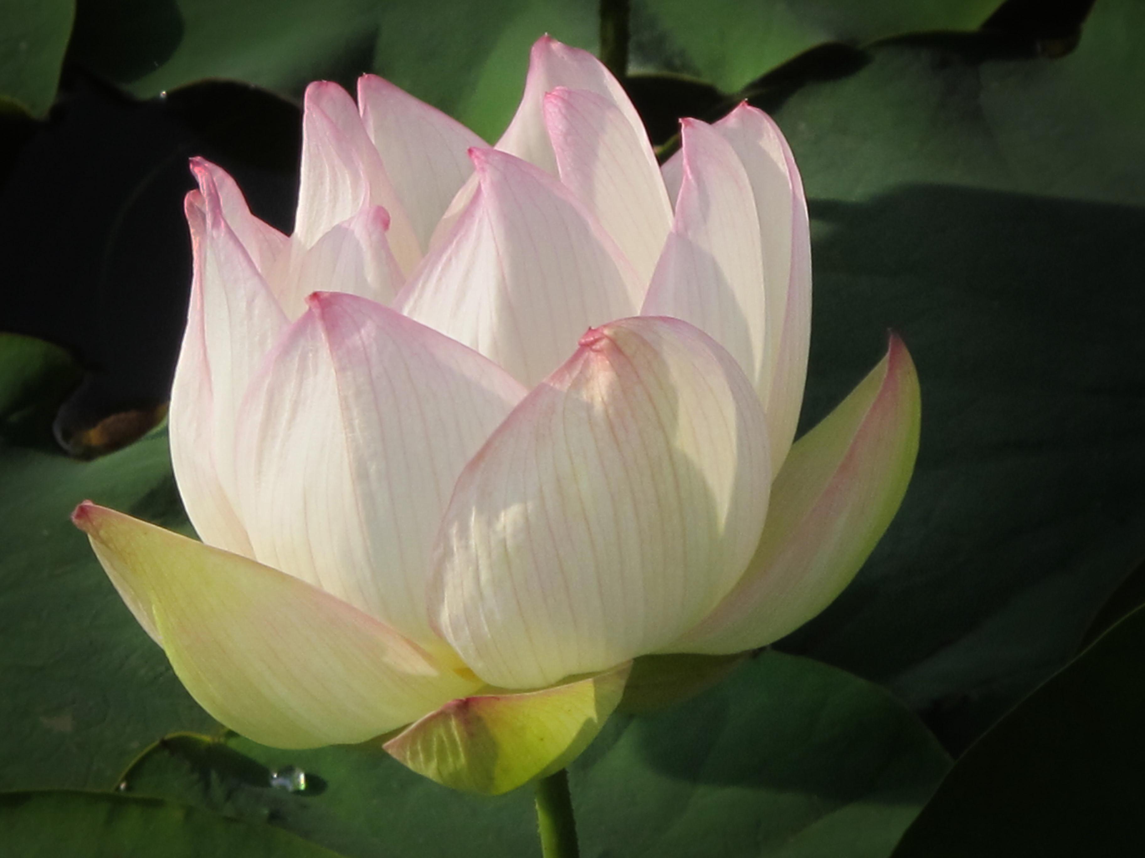 La petite maison dans le Gers