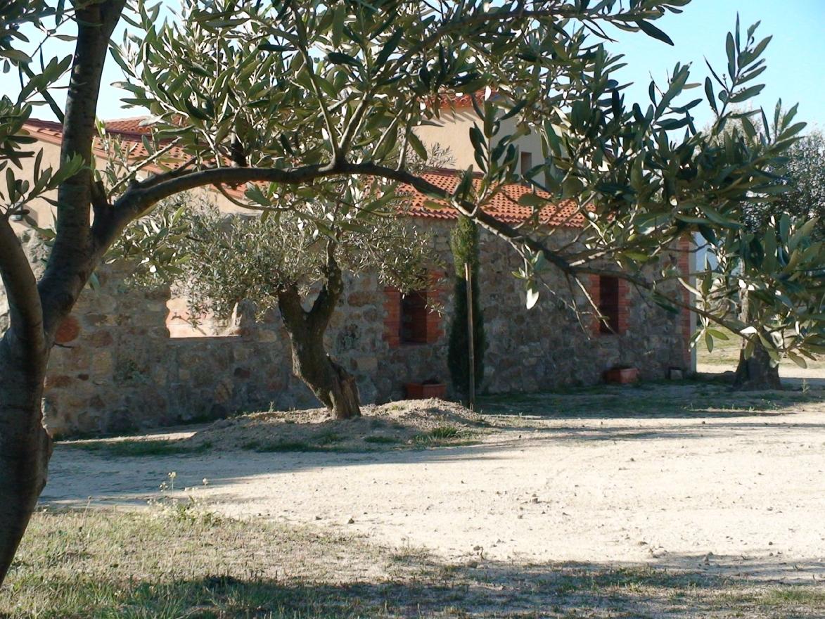 Gîte et oliviers à Ille-sur-Têt