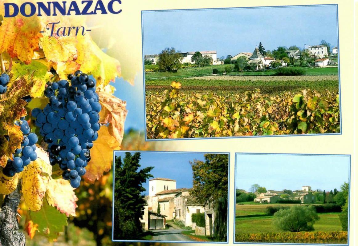 La cabane du vigneron à Donnazac