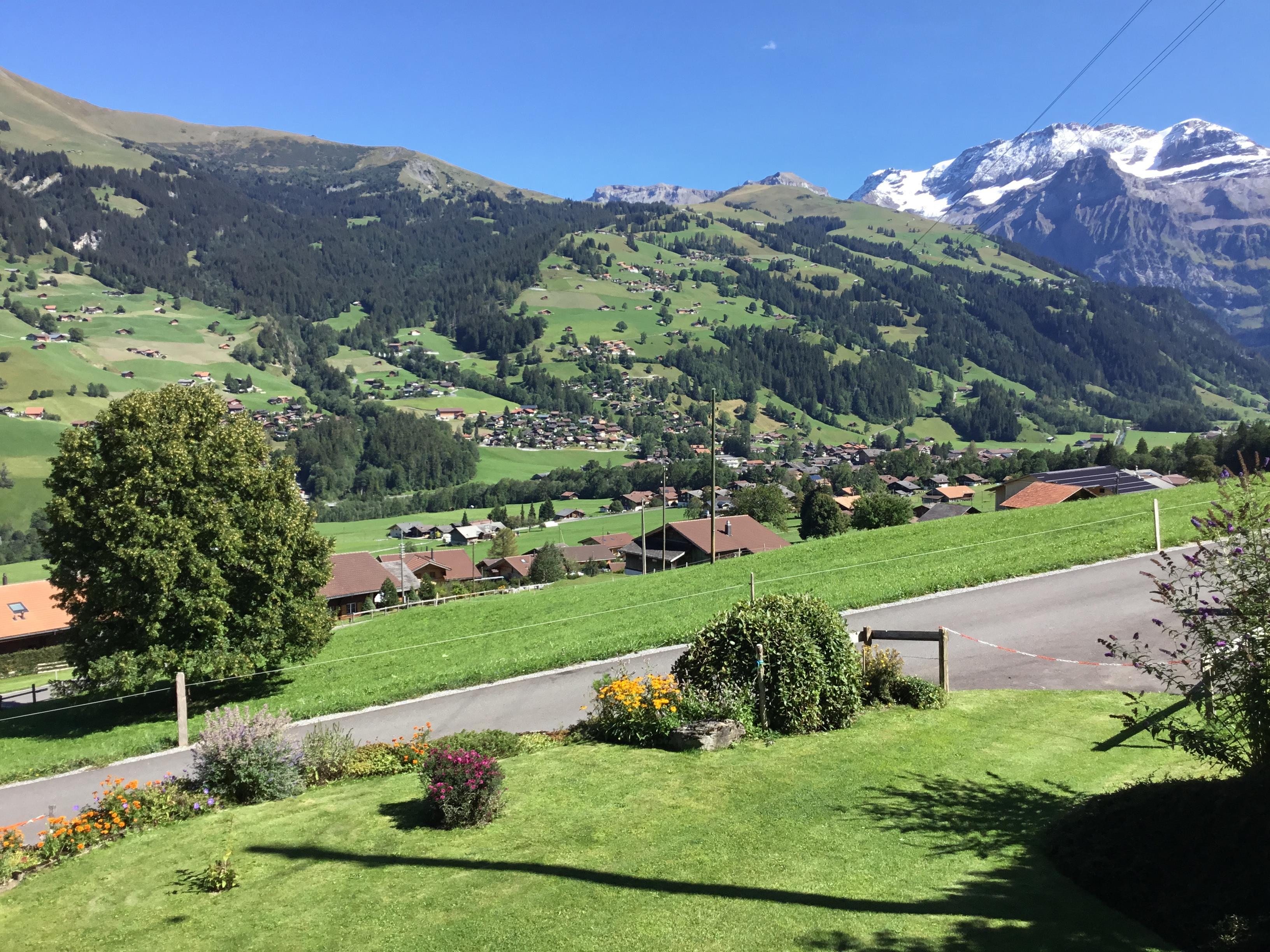 Aussicht Sommer Aussicht Sommer