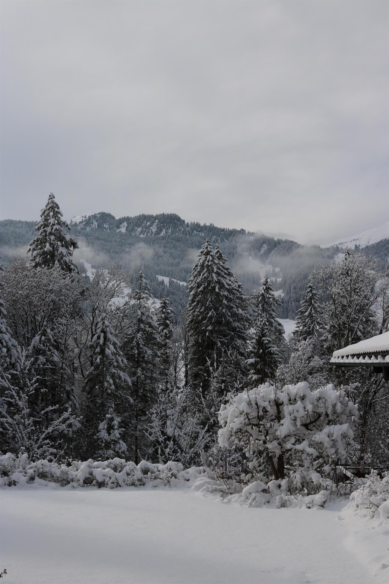 Am Lee / Garten Am Lee / Garten