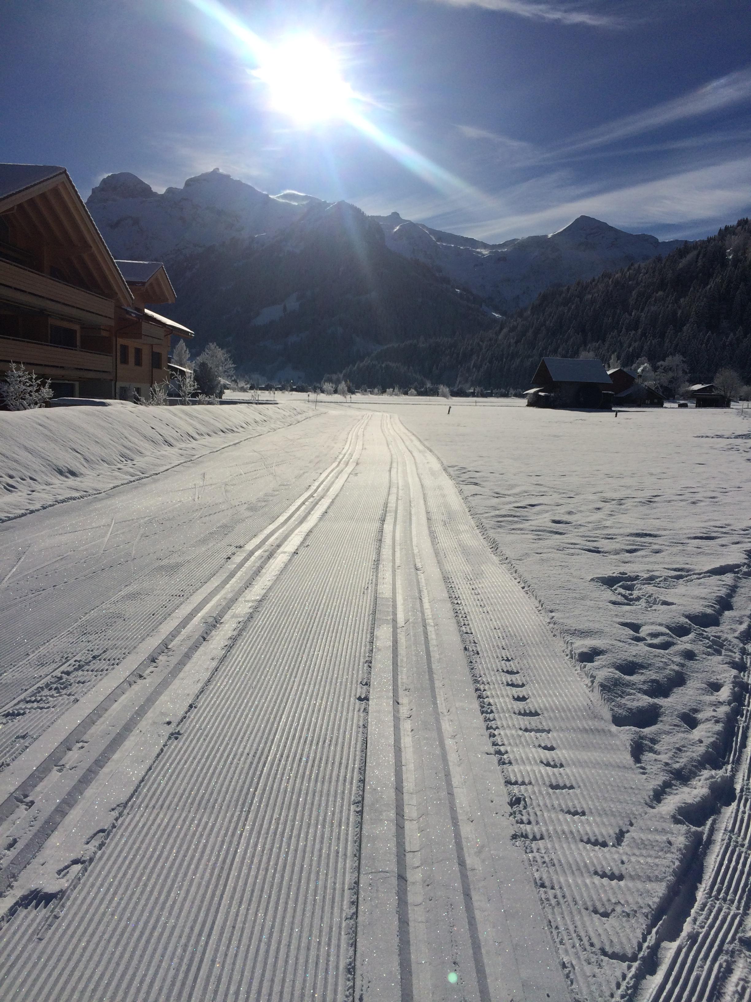 Langlaufen Langlaufen