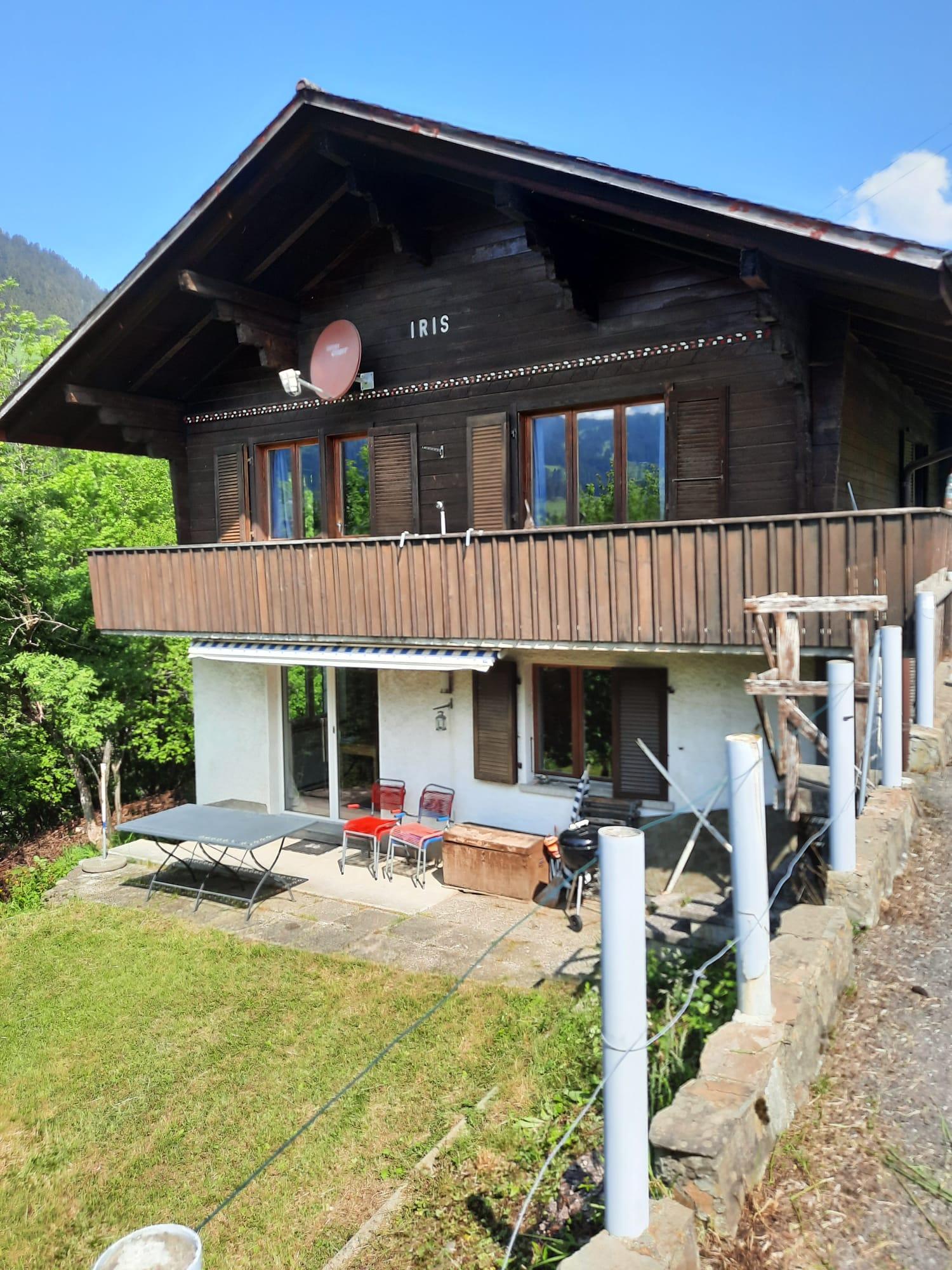 iris_sommer iris_sommer