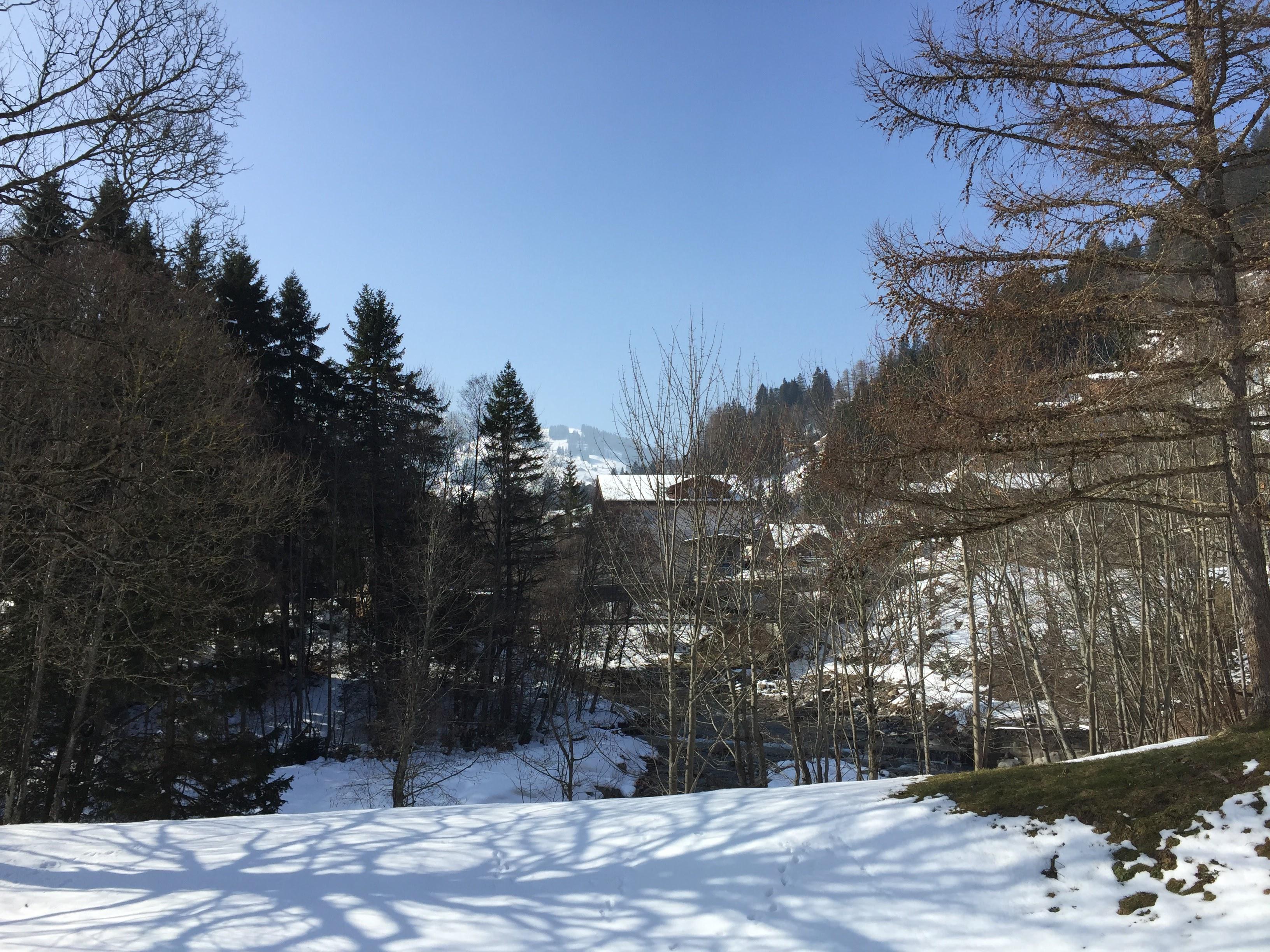 Sicht Wohnzimmer Sicht Wohnzimmer