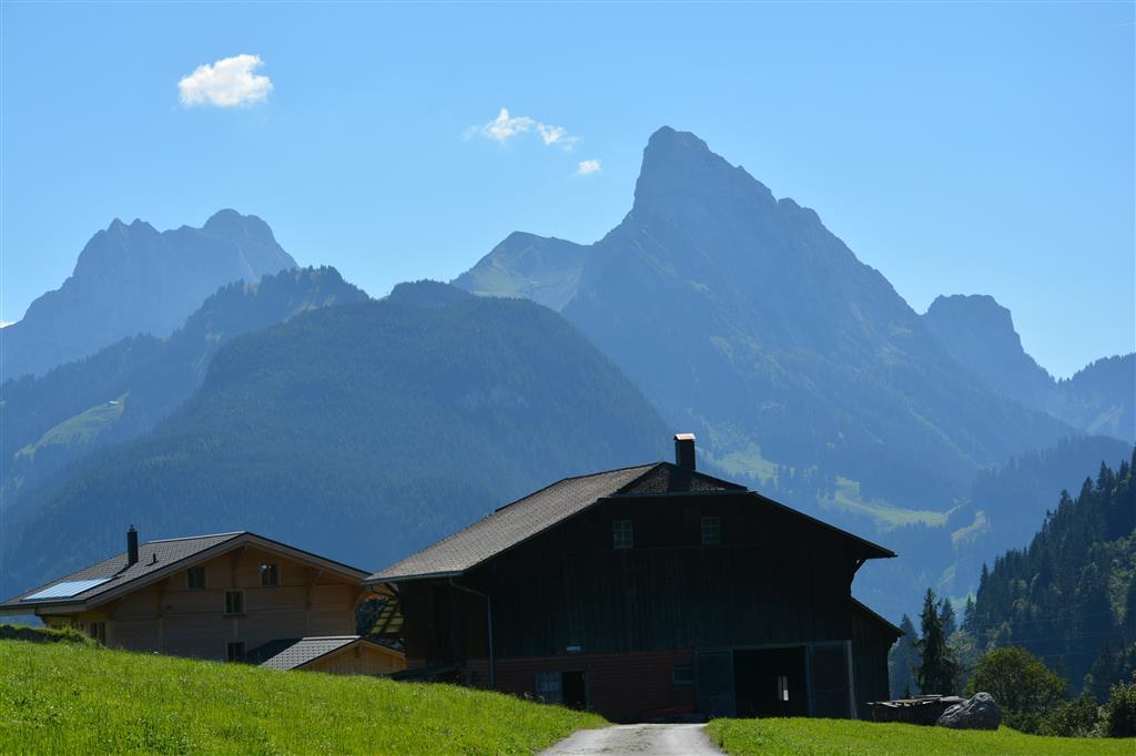 Aussicht (1) Aussicht (1)