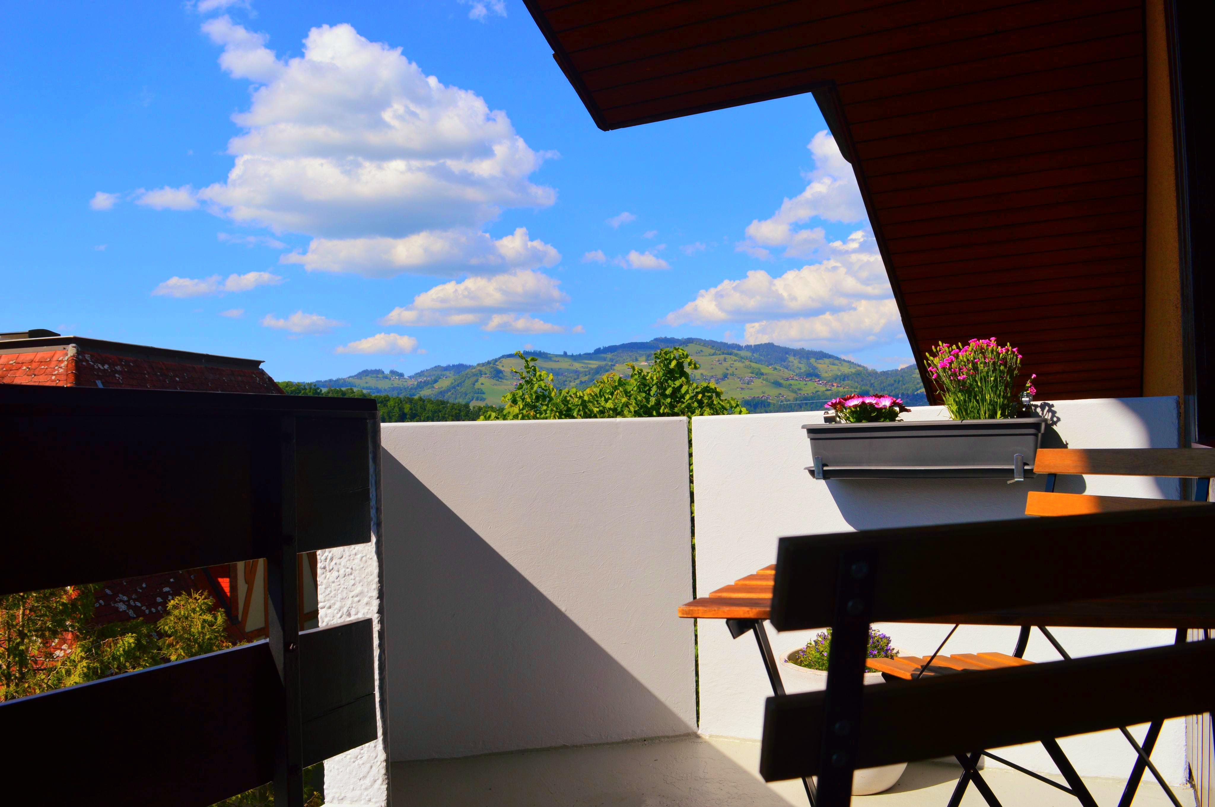 1000018049 1000018049