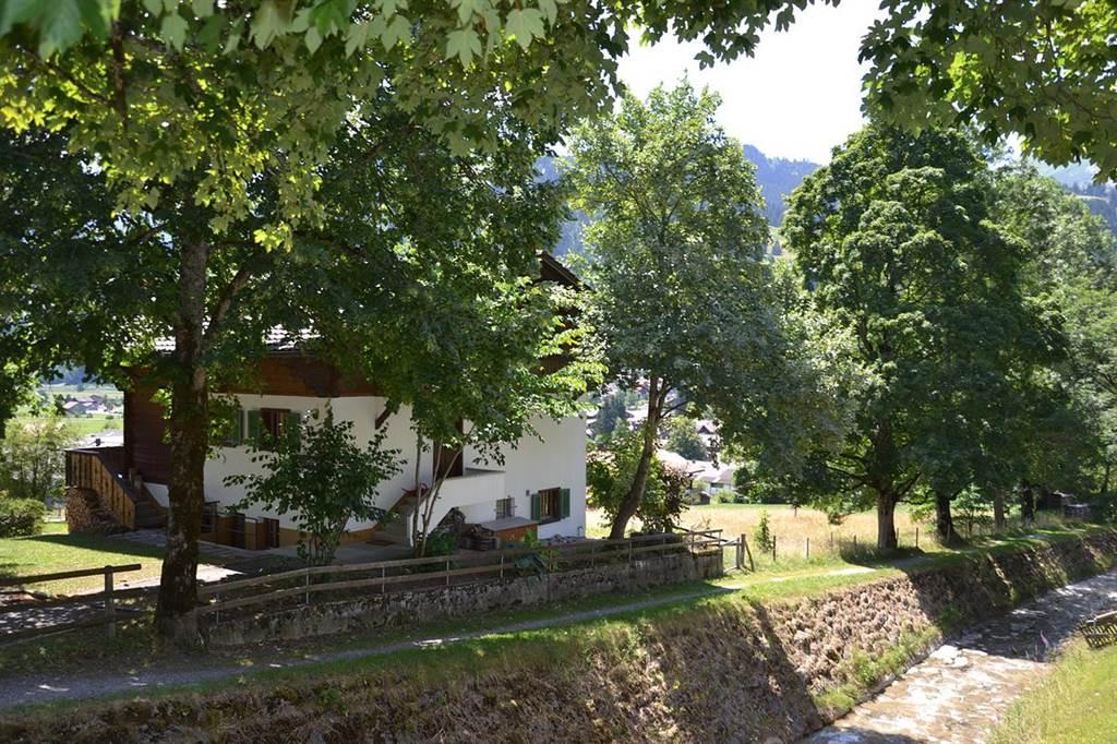 Spazierweg ins Dorf Spazierweg ins Dorf