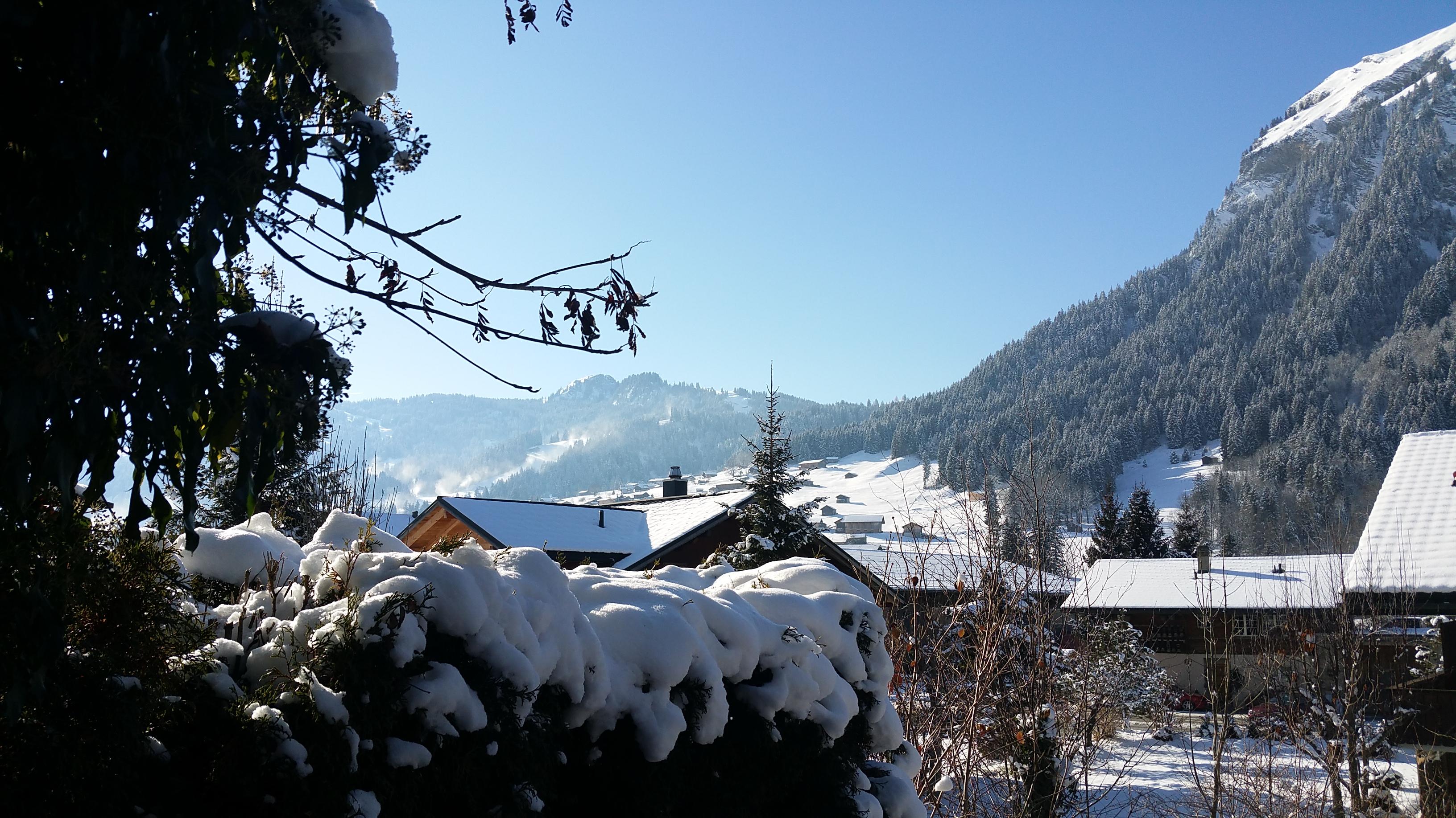 20171203_113248 20171203_113248