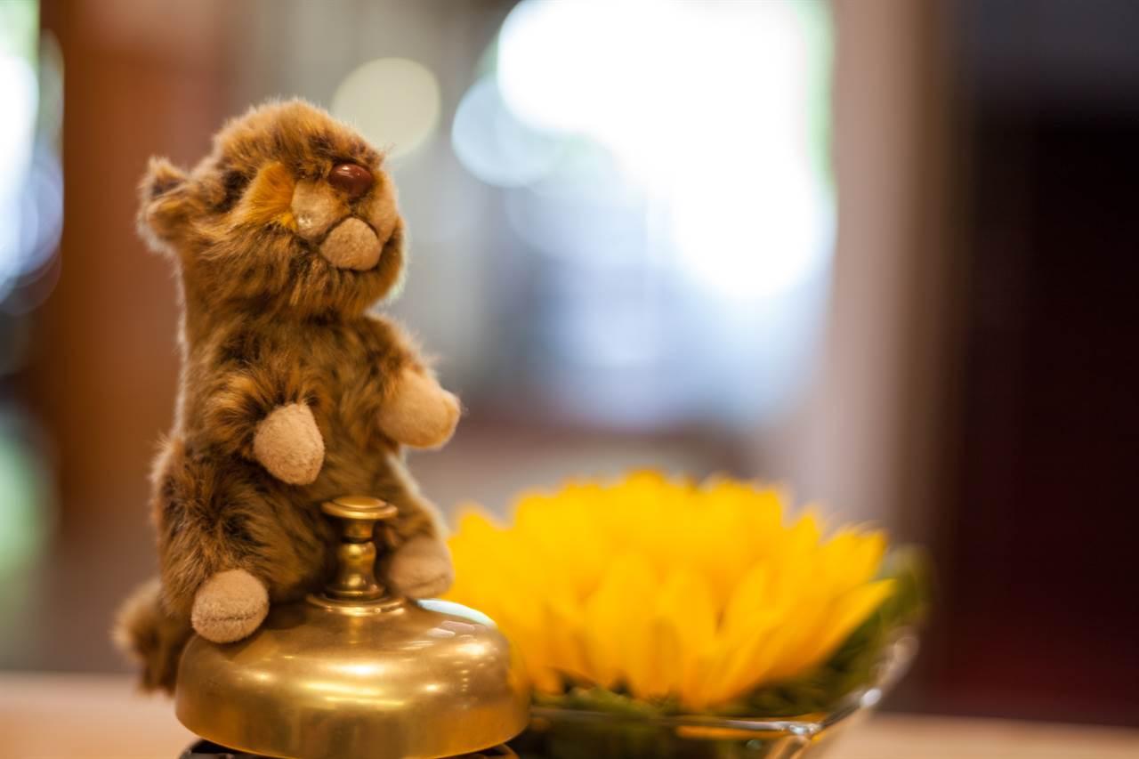 Hausmaskottchen Hausmaskottchen